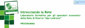 Intrecciando la Rete