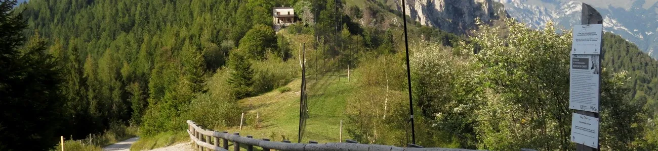 Rondini Trentino | Rete di Riserve Alpi Ledrensi
