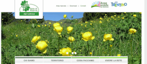 We are online!