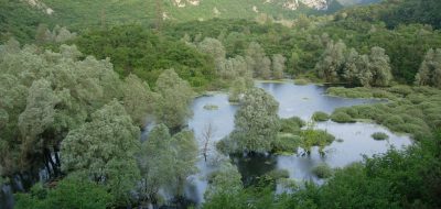 Habitat e specie floristiche 2014