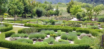 Orto dei semplici e giardino botanico del Monte Baldo