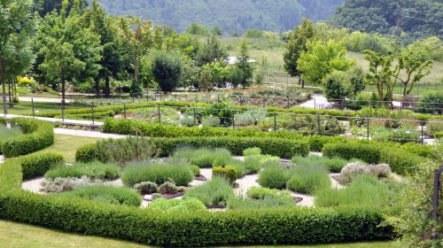 Orto dei semplici e giardino botanico del Monte Baldo