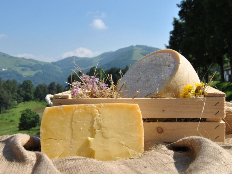 Corso di formazione Turismo e agricoltura nel Parco