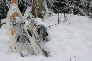 Zibaldone - Programma Invernale