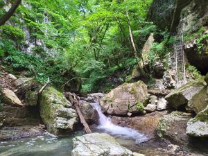 Escursione al canyon del Rio Sorna