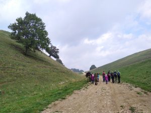 Trekking con gli asini nel Parco Naturale Locale Monte Baldo