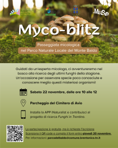 Myco-blitz