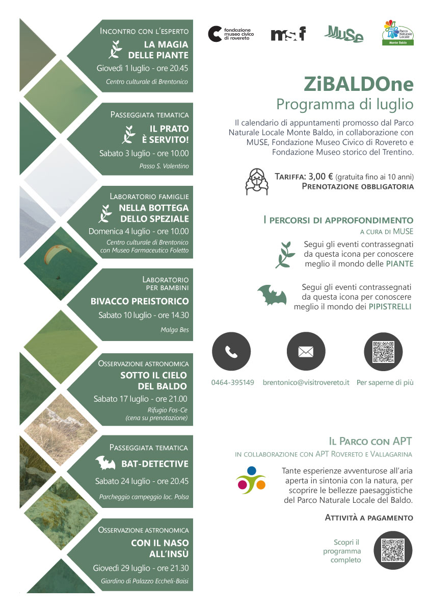 Nella Bottega dello speziale