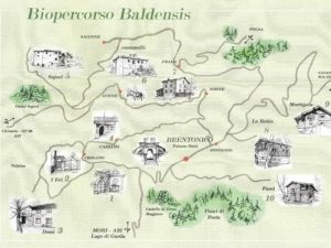 Baldo Bio... è logico