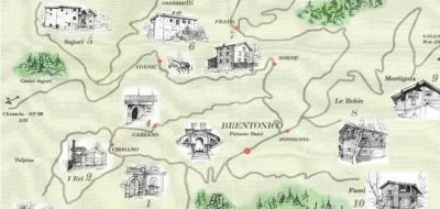 Baldo Bio... è logico