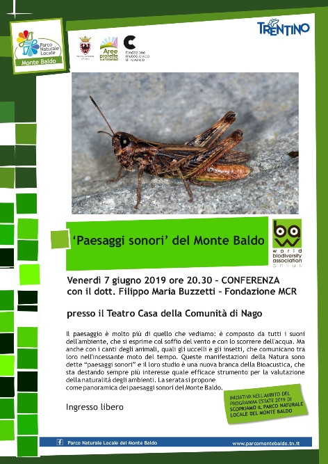 Conferenza 