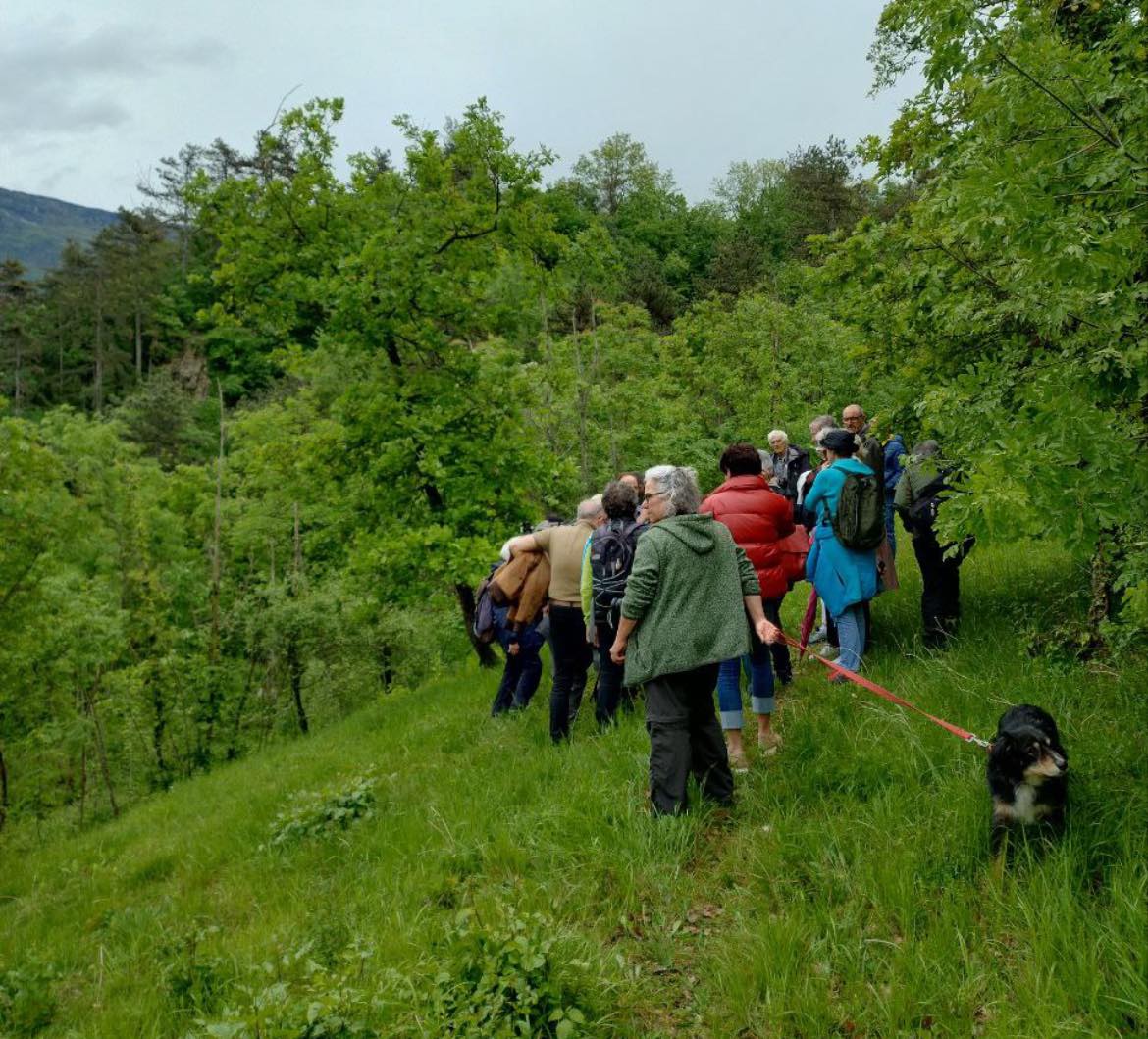 Grande successo per la passeggiata botanica a Talpina!