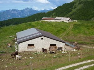 Le Malghe