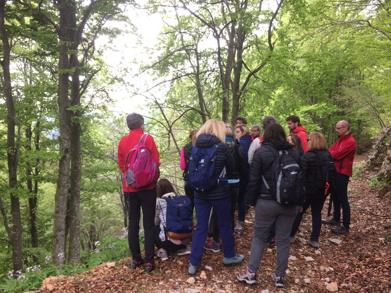 Monte Baldo Experience