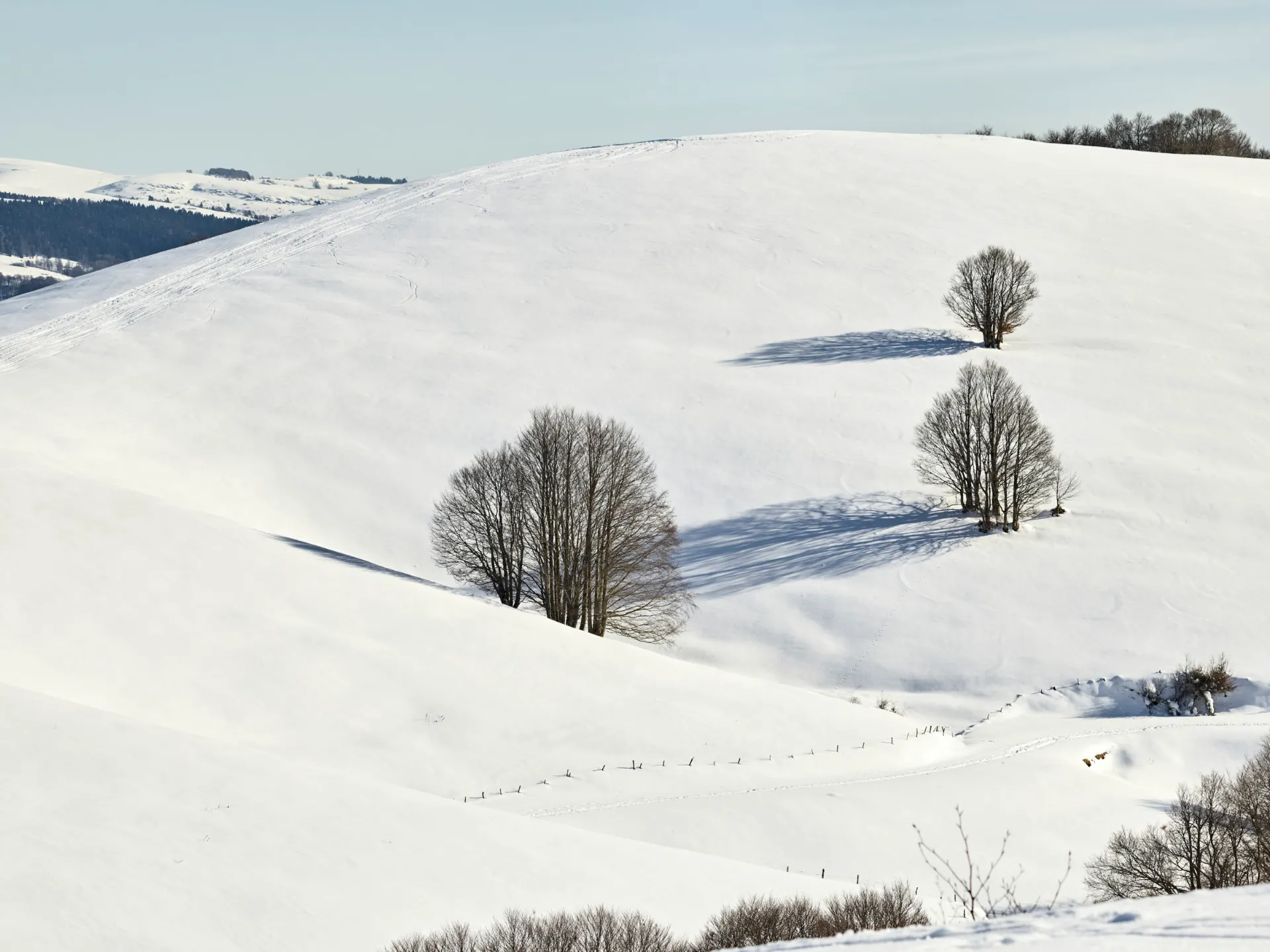 parco-monte-baldo-neve-parco-153