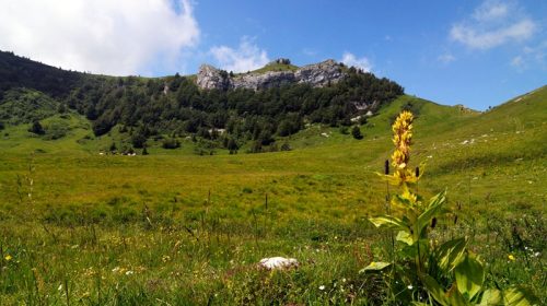 Bocca del Creèr