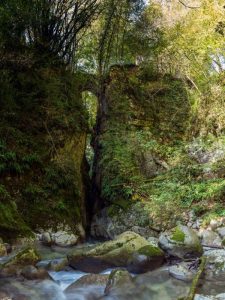 Terra e acqua
