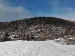 Vaia: gestione della tempesta